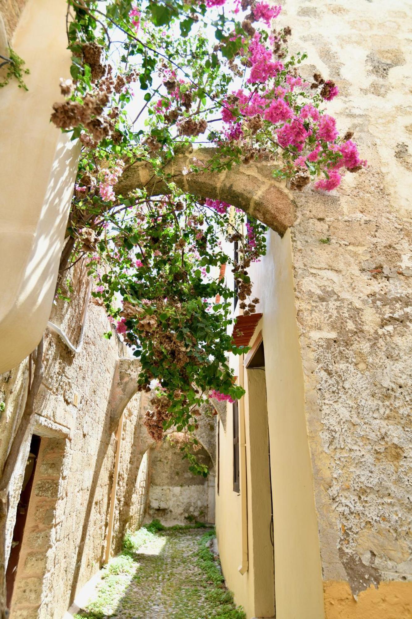 Penelope Garden House Old Town Appartement Rhodes City Buitenkant foto