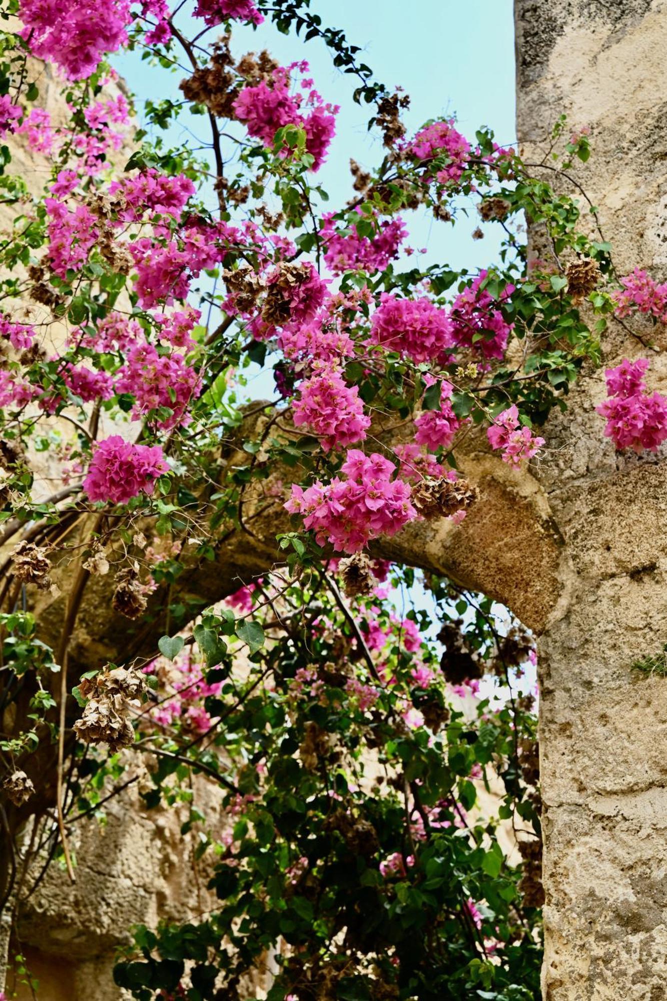 Penelope Garden House Old Town Appartement Rhodes City Buitenkant foto