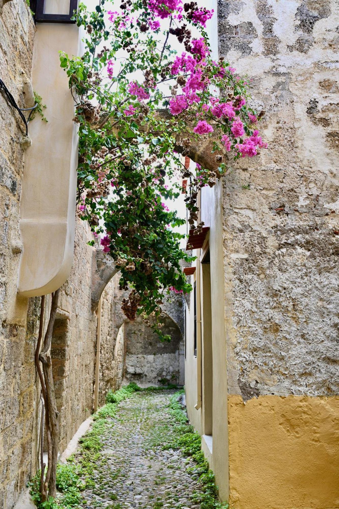 Penelope Garden House Old Town Appartement Rhodes City Buitenkant foto